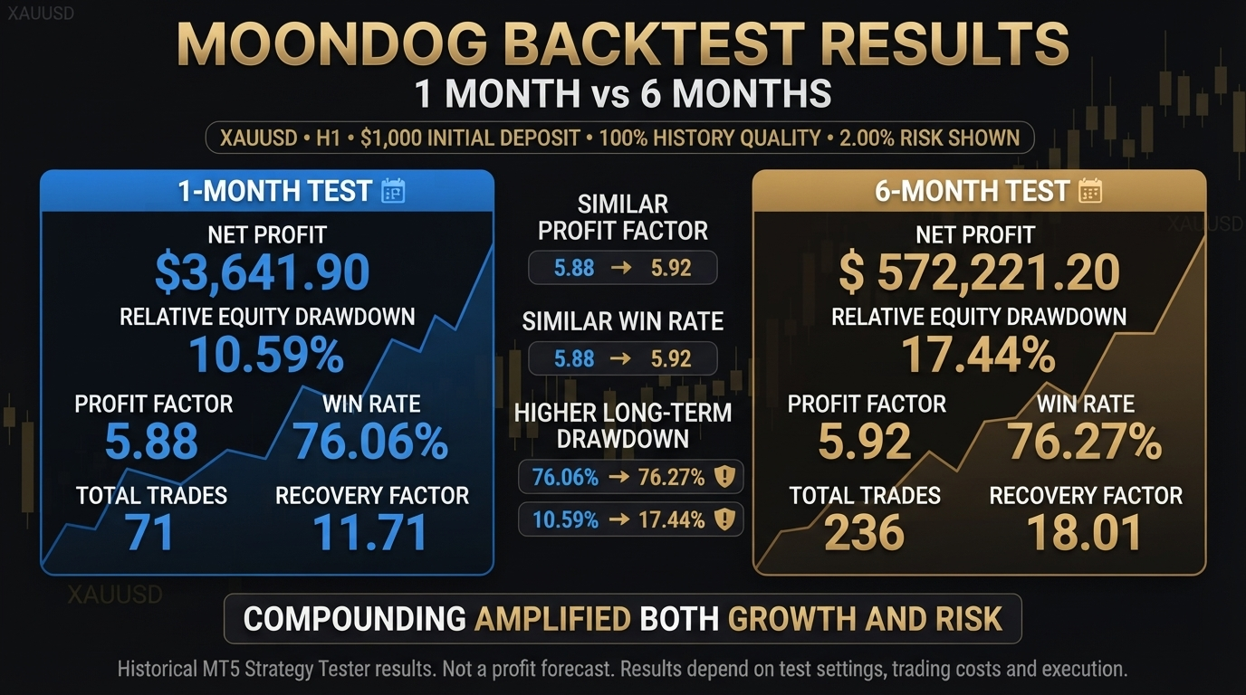 MoonDog EA one-month and six-month backtest comparison infographic
