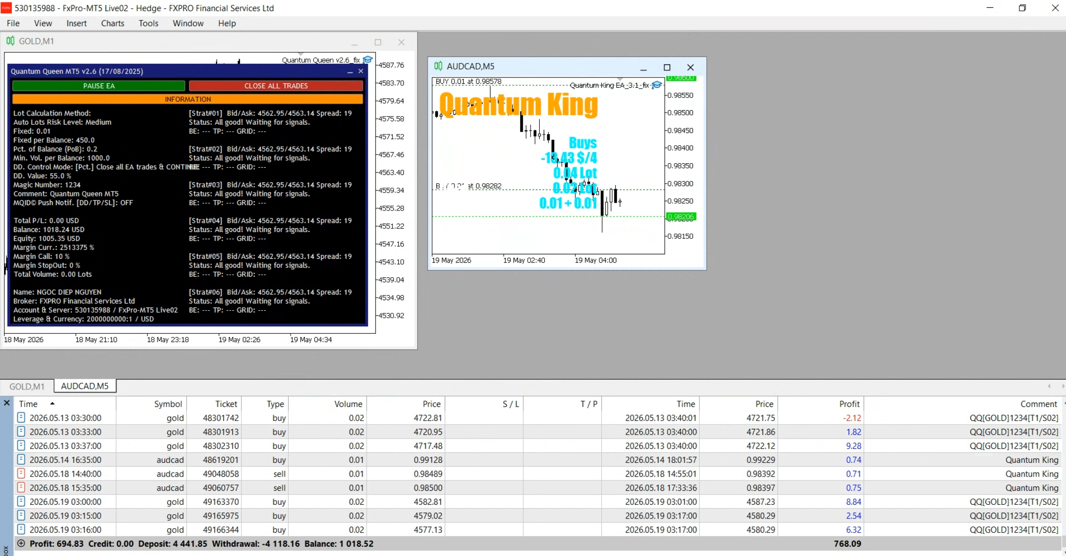 Quantum King EA MT5 live account forward trading example