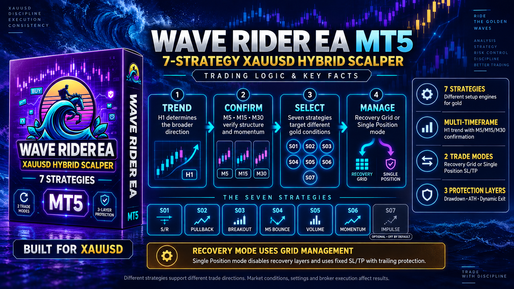 Wave Rider EA MT5 XAUUSD trading robot review